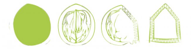 Concept évolution Brouae